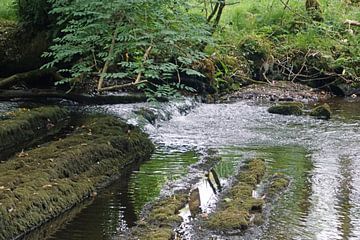 Fowley's Falls in Ierland van Babetts Bildergalerie