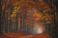 The natural tunnel by Arjen Noord thumbnail