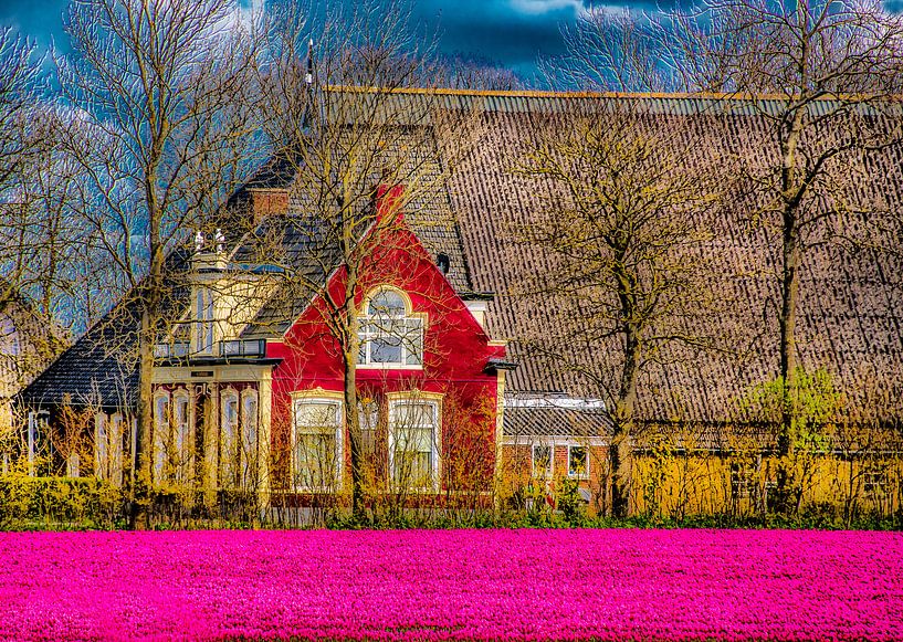 De Westhoek in Friesland par Harrie Muis