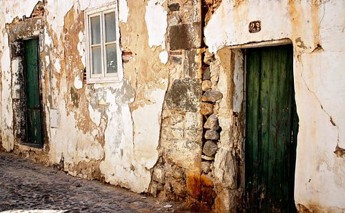 de schoonheid van oud