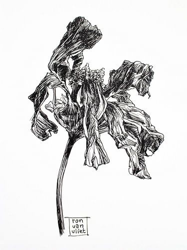 Vergankelijkheid - dode bloemen 3