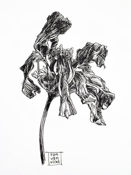 Dead flowers 3 by Ron van Vliet