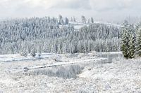 Winter atmosphere in Grand Teton National Park