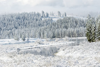 Wintersfeer in Grand Teton National Park