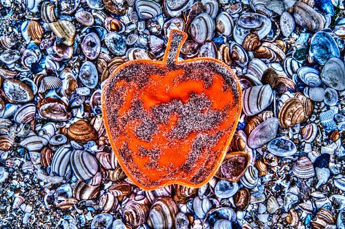 Apple on the Beach - Schelpen Pt II