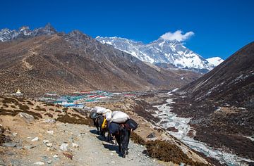 Onderweg naar Dingboche Nepal van Ton Tolboom