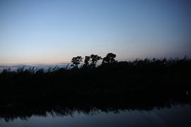 De weerspiegeling van de oever van Kirsten L.