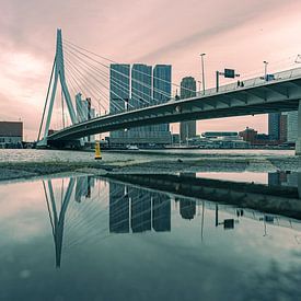 Erasmusbrug & de reflectie van Inge van der Hart Fotografie