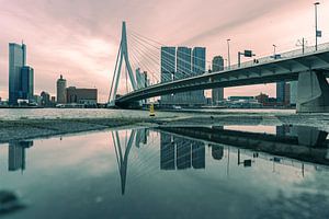 Erasmus bridge & la réflexion