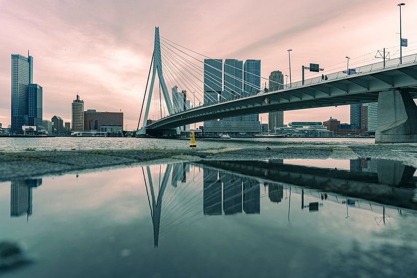 Erasmusbrücke & die Reflexion von Inge van der Hart Fotografie