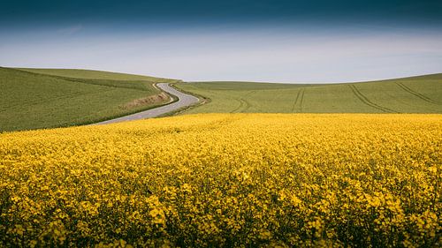 Landschaft - gelb auf der Straße.