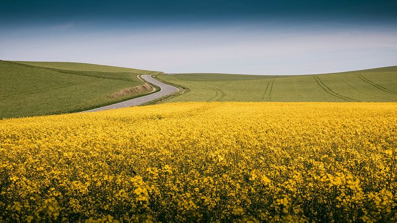 paysage - jaune sur la route. par Johan Cusseneers