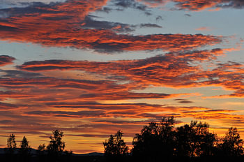Sunset 5