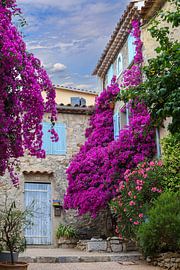 Haus mit Bougainvillea in Le Castellet von Marika Rentier