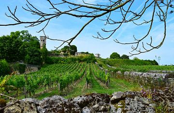 Wijndorp Saint-Emilion in de Bordeaux - ommuurd met stenen muren, wijngaard aan de voet van het dorp, met toren op de achtergrond van Studio LE-gals