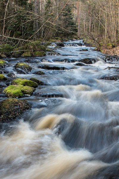 Schweden Landschaft 101 von Geertjan Plooijer