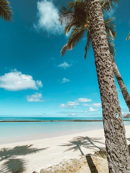 Hawaii by Hello Pompoyo