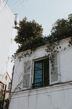 Karakteristiek raam met klapdeurtjes in Parijs, Montmarte, Frankrijk van Manon Visser