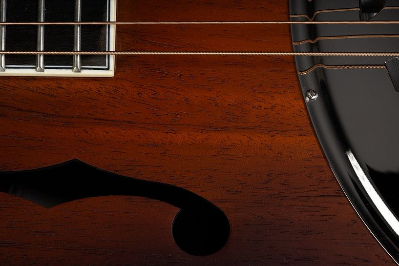 Guitar, Close-up by Stefan Hoeven