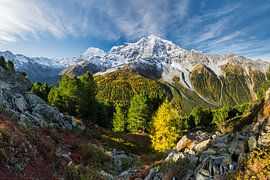 Ortler von Rainer Mirau