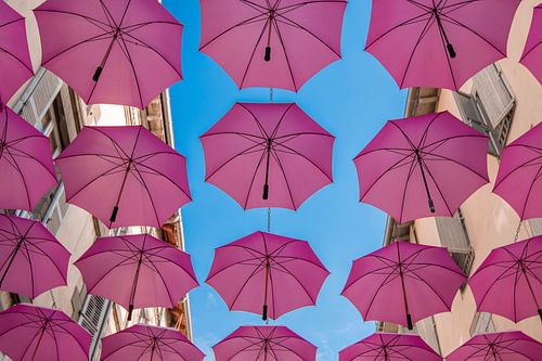 Paraplu's, paraplu, umbrella