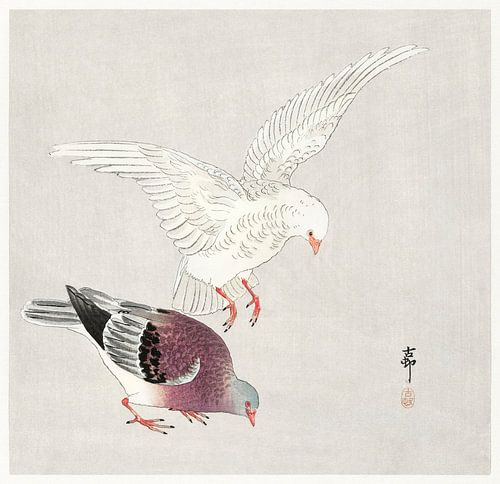 Two pigeons (1877-1945) by Ohara Koson