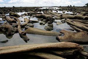 Ende der Welt - Corcovado, Costa Rica