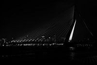 Erasmusbrug van afstand