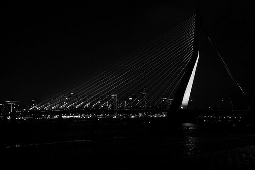 Erasmusbrug van afstand