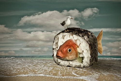 Sushi vis