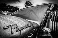Plymouth wing after rain