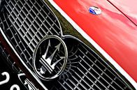 Maserati detail van Jurien Minke thumbnail