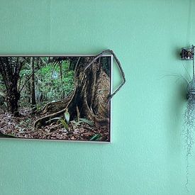 Customer photo: Tree with leaf roots in the Surinamese jungle by Marcel Bakker, on canvas