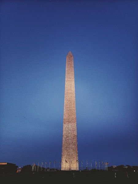Washington DC by Hello Pompoyo