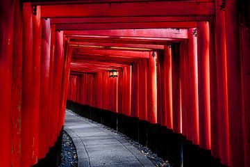 Kioto, Japan van Azamat