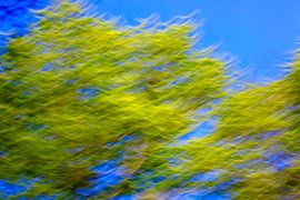 Les couleurs du printemps