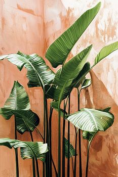 Bananenpflanze aus Terrakotta