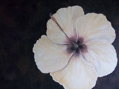 Butter Yellow Hibiscus Painting