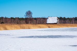 Bodden met huis in Born op Fischland-Darß in de winter van Rico Ködder