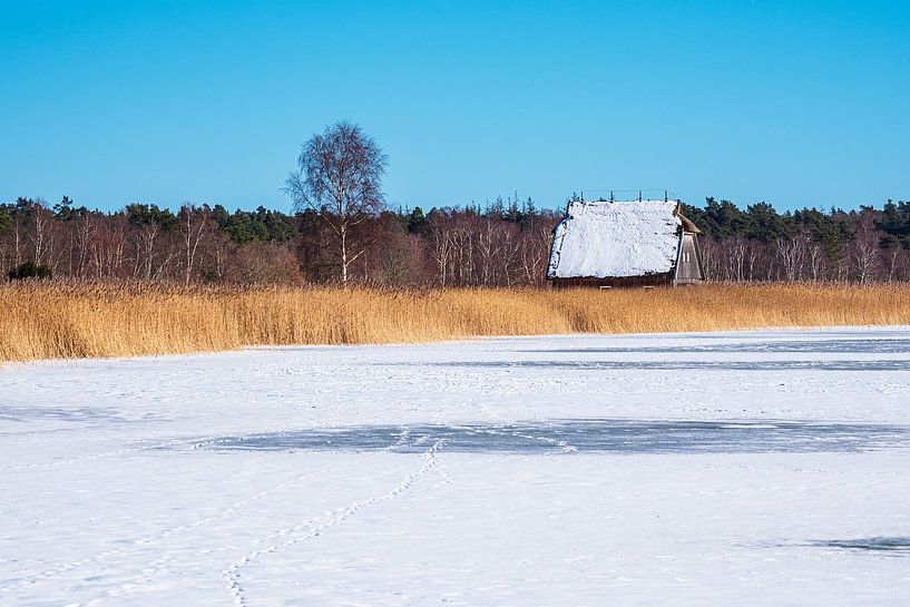 Bodden mit Haus in Born auf dem Fischland-Darß im Winter von Rico Ködder