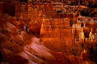 Bizarre rock needles in the great erosion landscape Bryce Canyon National Park in Utah USA by Dieter Walther thumbnail