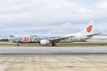 Air China Boeing 737-800 met Silver Peony livery.