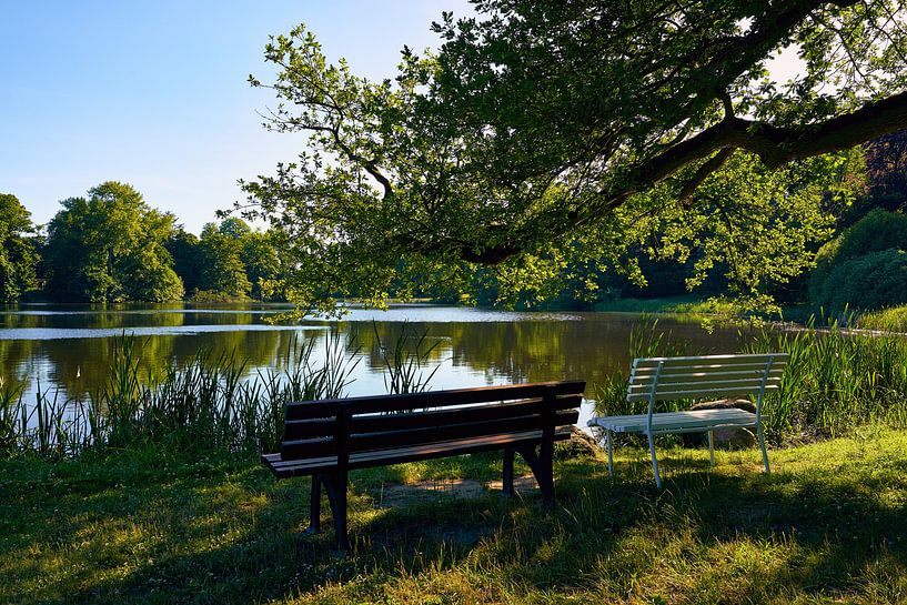 Schlosspark Putbus auf der Insel Rügen von Reiner Würz / RWFotoArt