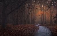 Autumn on the Woldberg