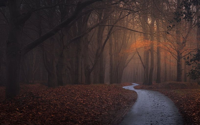 Autumn on the Woldberg by Maarten Salverda