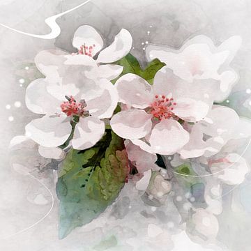 witte bloei van Andreas Wemmje