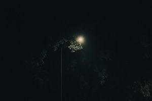 La lumière dans l'obscurité en couleur