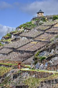 Chapelle du vignoble