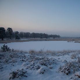 Winters Ven van Jan van der Meer