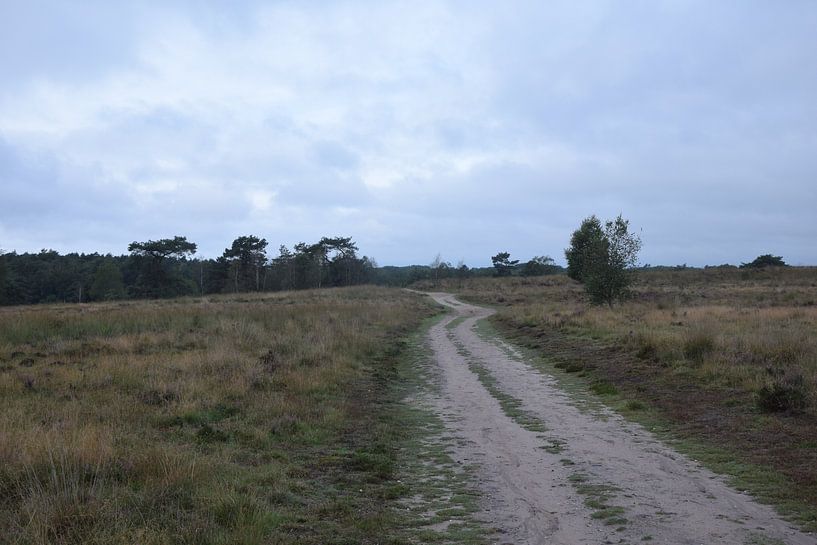 en route vers le néant par Jeroen Franssen